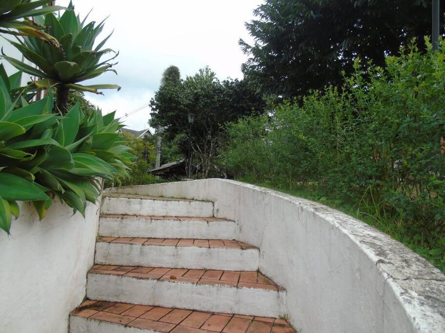 Amplo Apartamento Familiar Em Vila Capivari E Wifi Apartamento